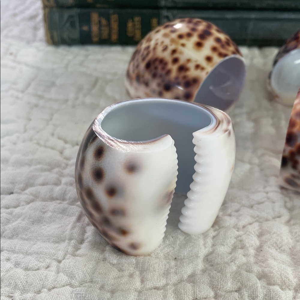Shell Brown and Cream Napkin Rings - Picture 2 of 3